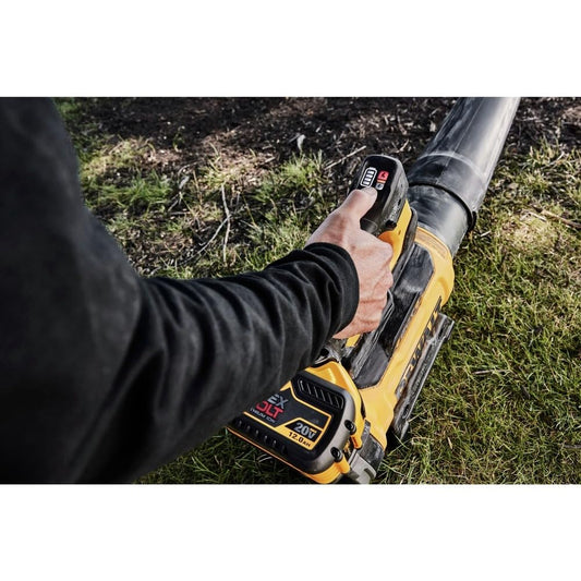 SHELL DW 60V PREMIUM BLOWER